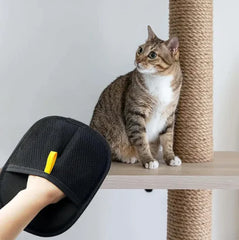 Pet Hair Removal Glove for Dogs & Cats, Newly Upgraded Reusable Electrostatic Pet Hair Gloves, Pet Hair Remover Tool for Clothing, Couch, Carpet, Car Seat BLOOM CART